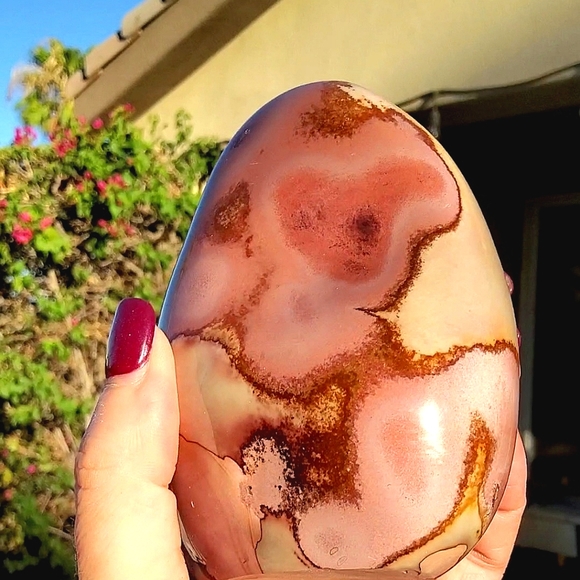 Stunning Rare Daliesque Polychrome Jasper Free Form - Picture 5 of 13